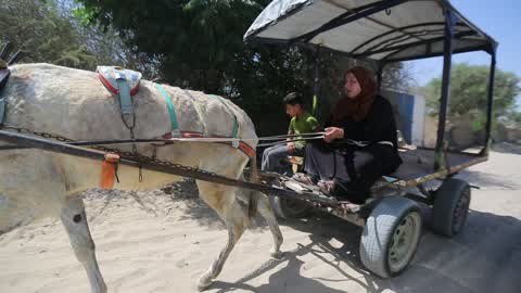 Economy In Palestine