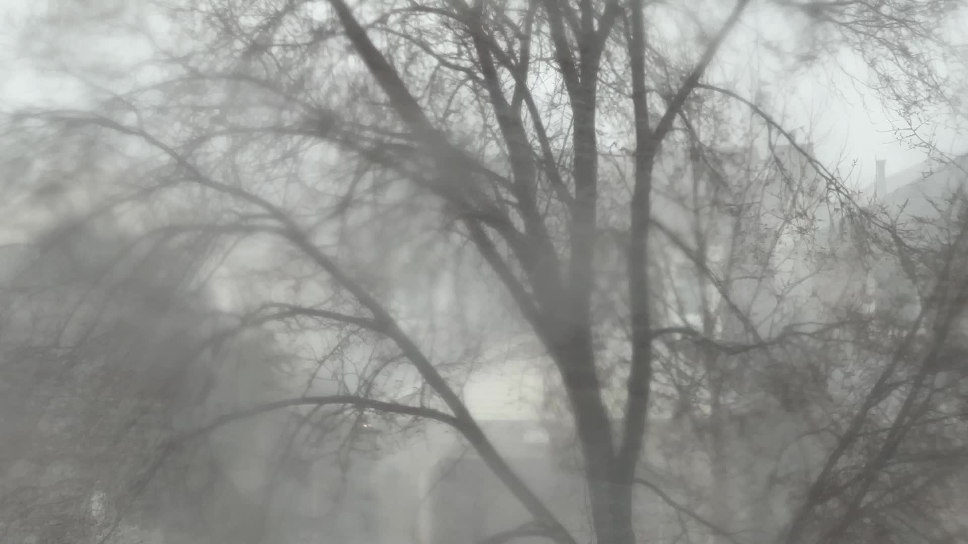 Spring season snowstorm in Toronto