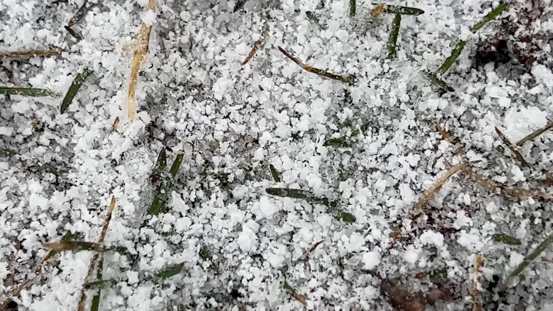 Spring season snowstorm in Toronto
