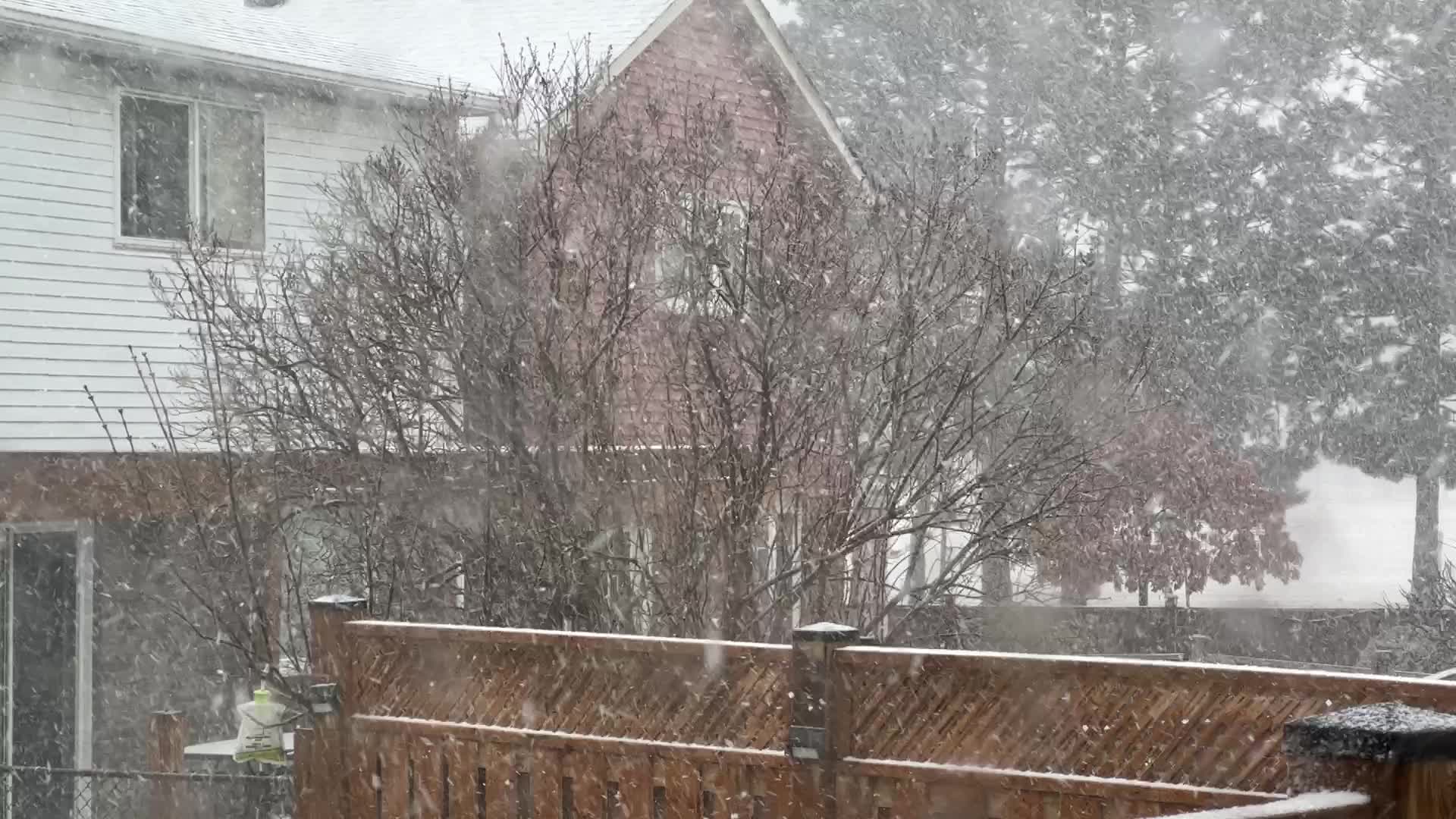 Spring season snowstorm in Toronto