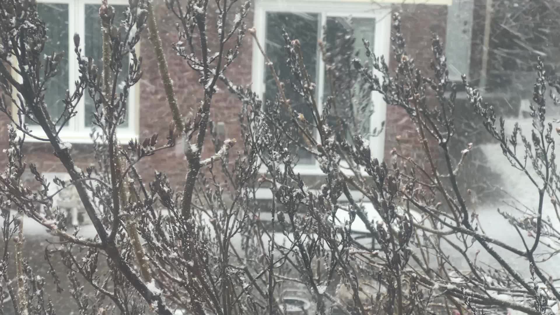 Spring season snowstorm in Toronto