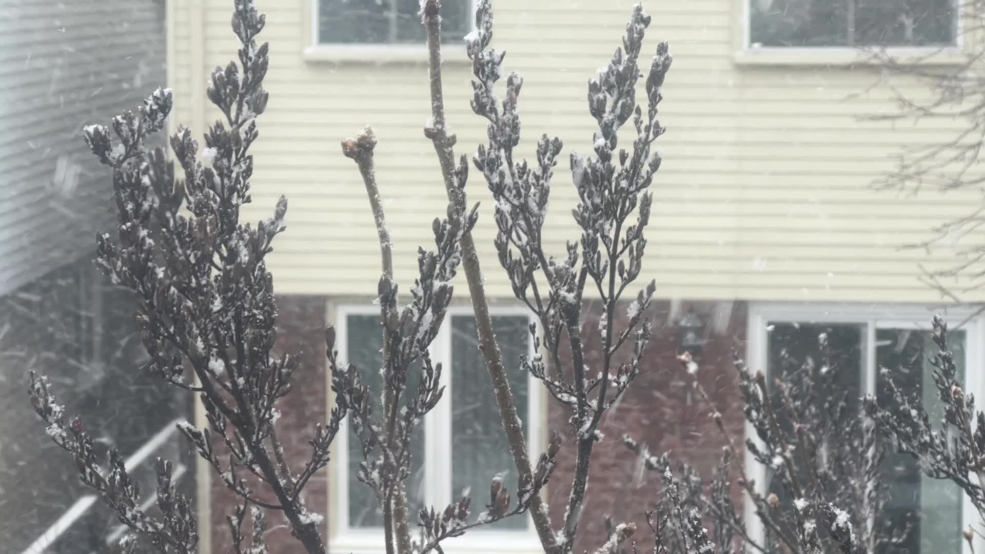 Spring season snowstorm in Toronto