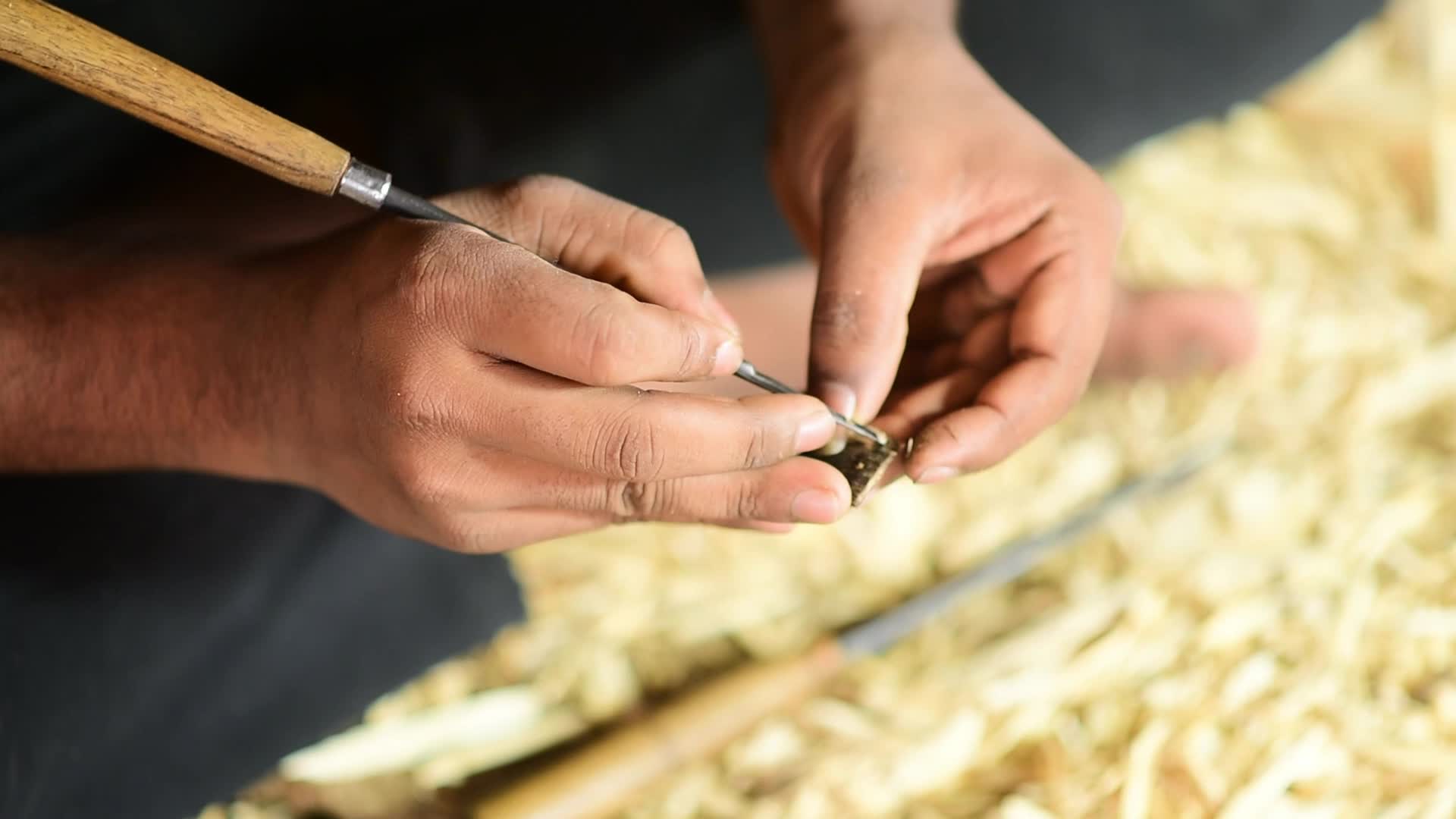 Agarwood Farming in India