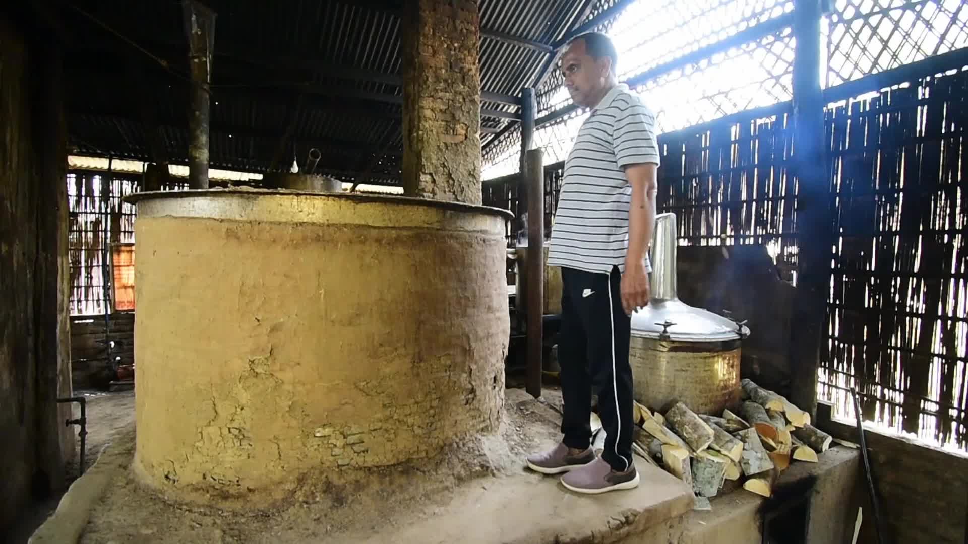 Agarwood Farming in India