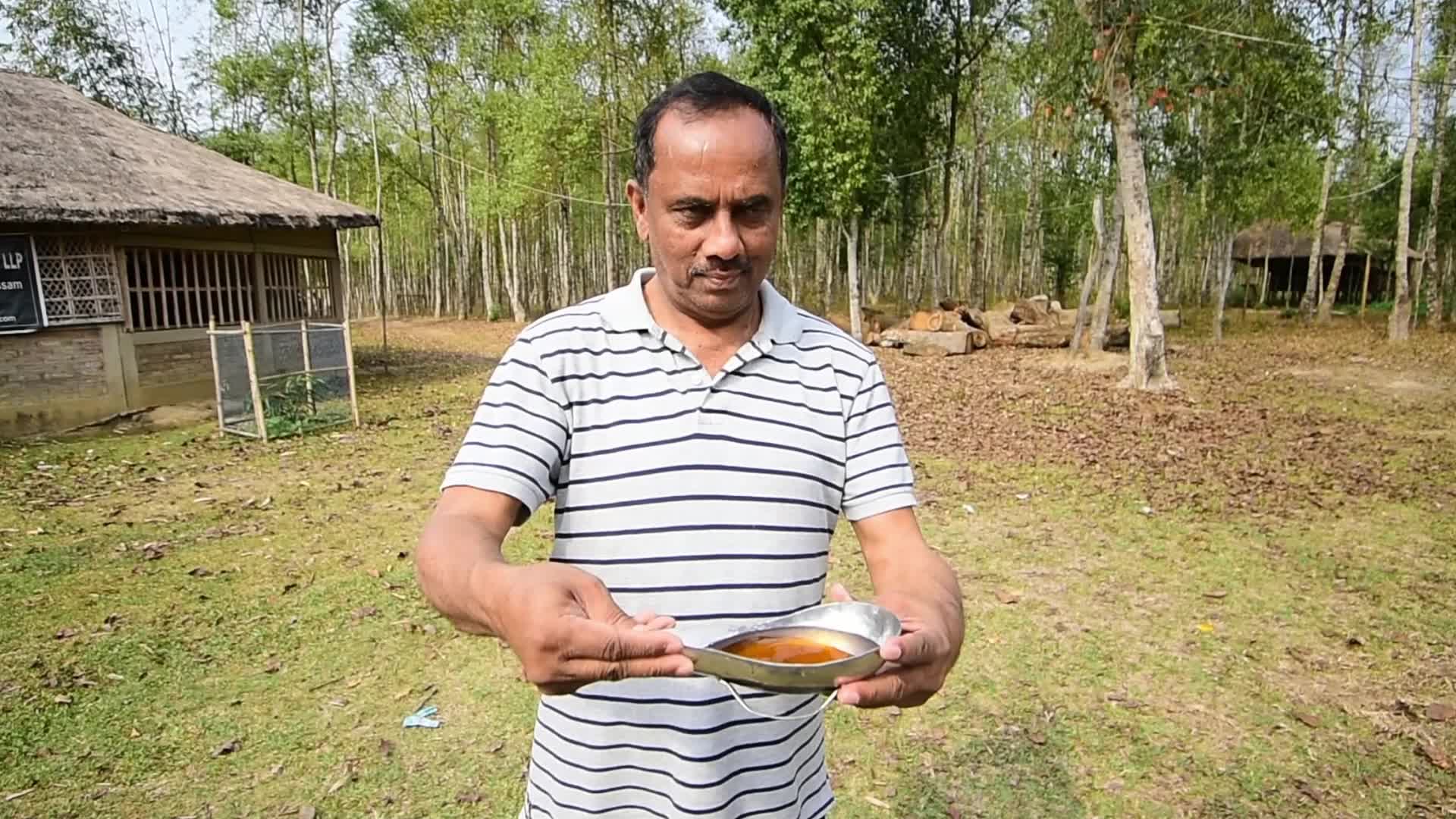 Agarwood Farming in India