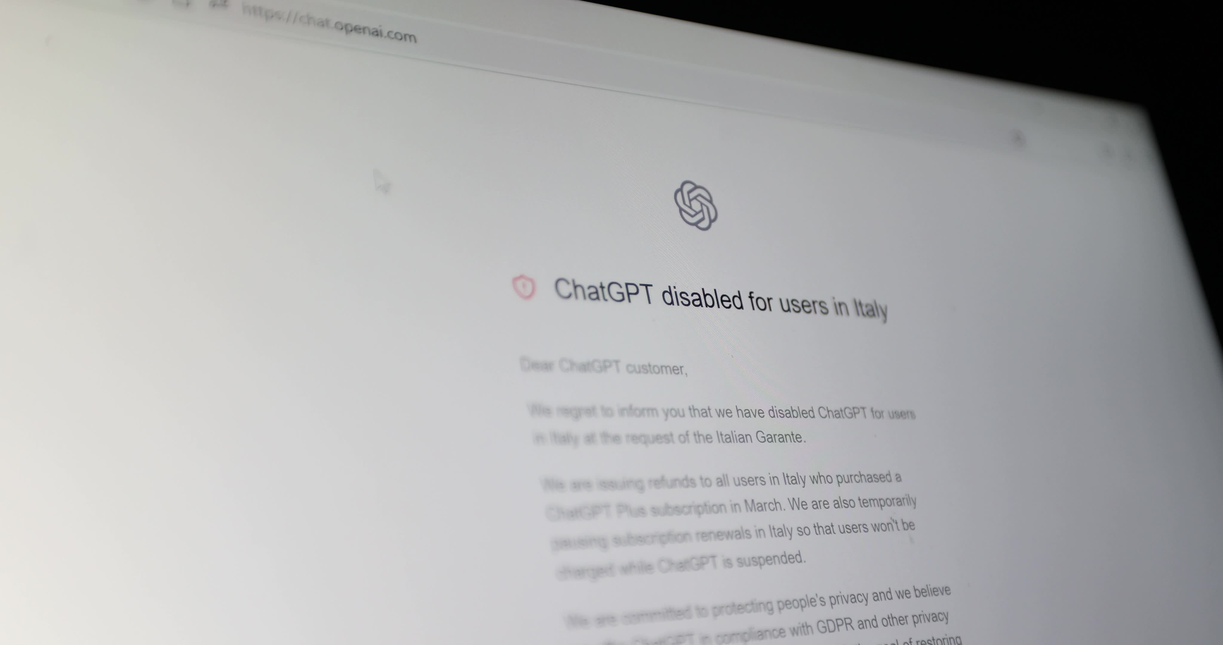 Italy Bans ChatGPT Due to Privacy Concerns