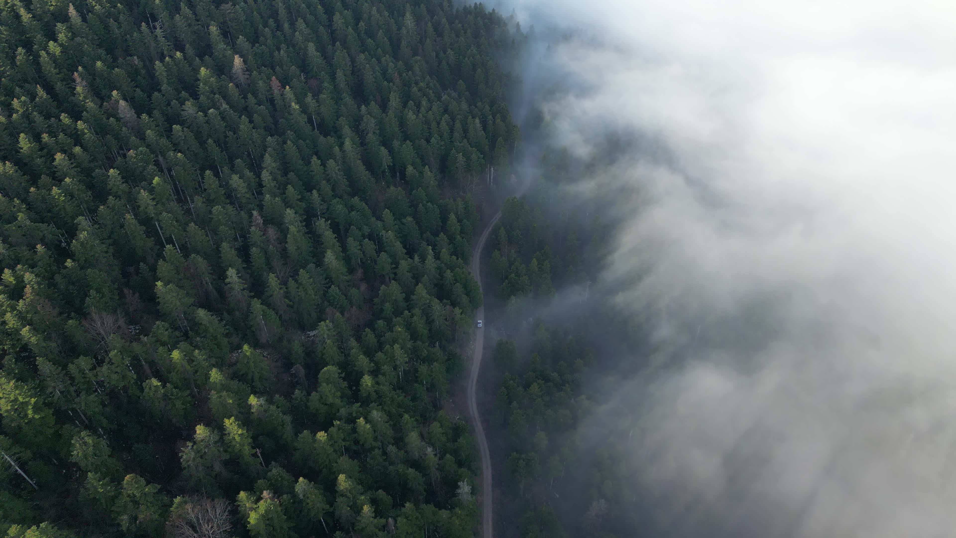 Fog on the mountains