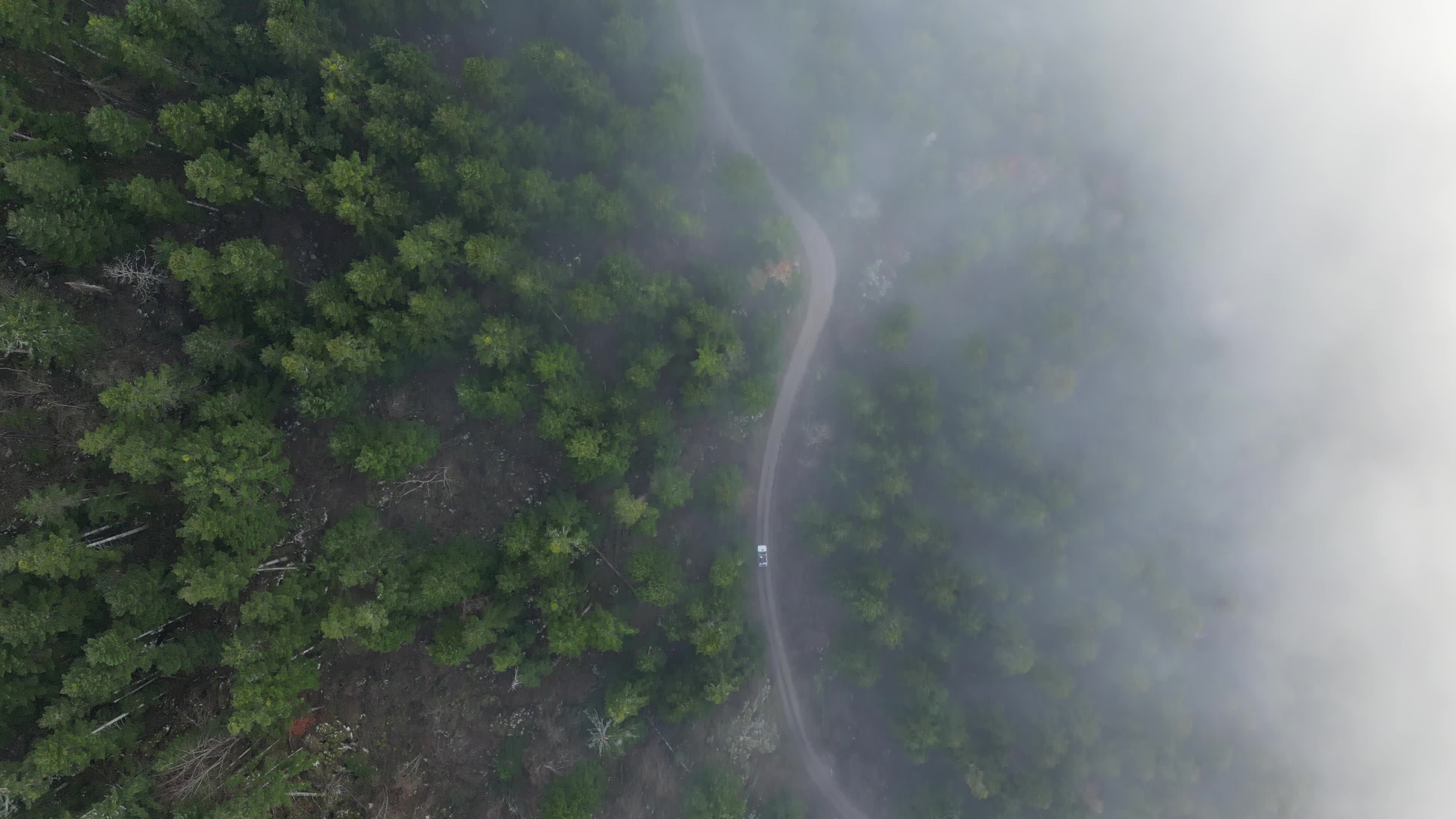 Fog on the mountains