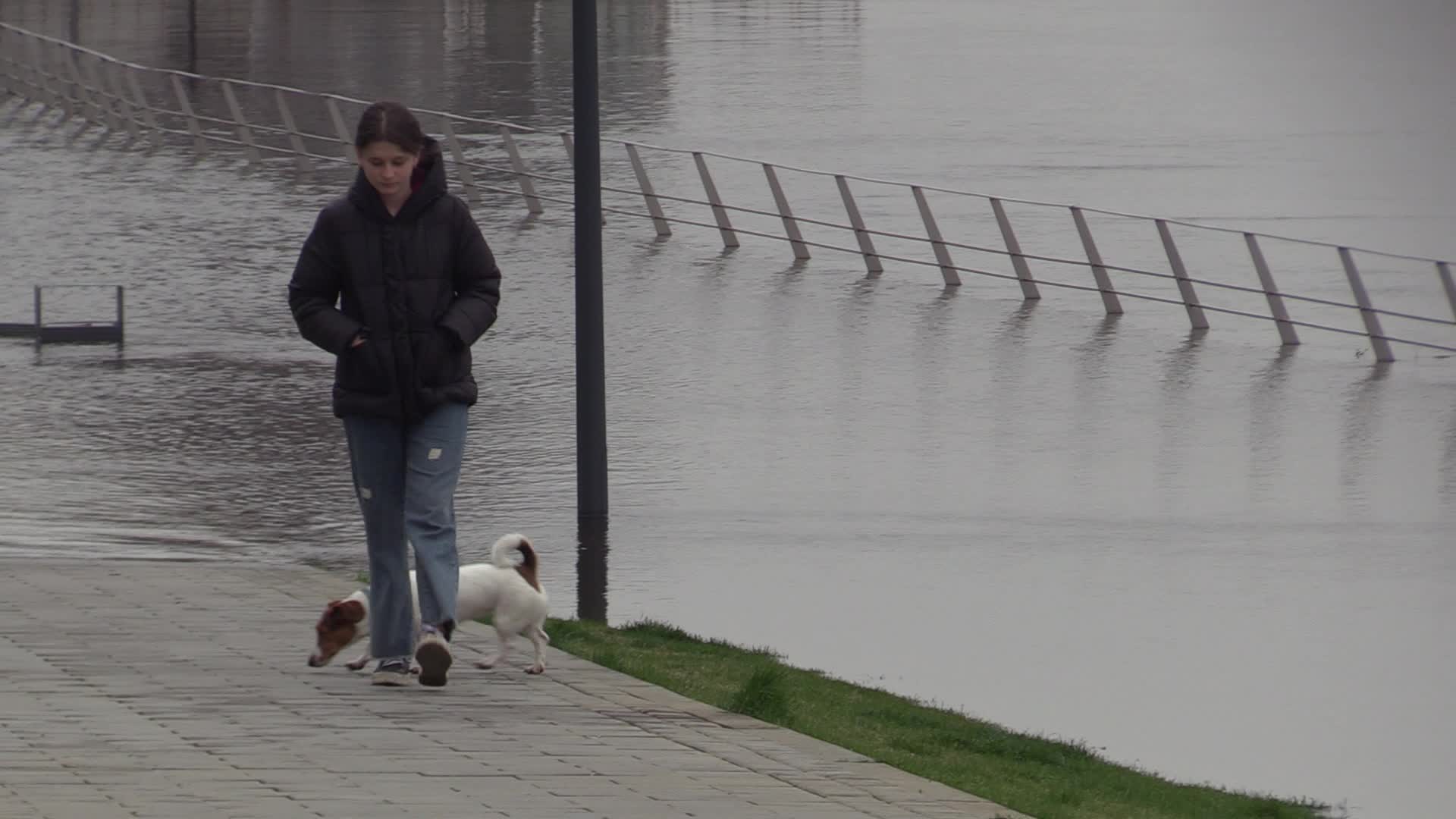 A seasonal rise in the water level in the Dnipro led to flooded embankment in Kyiv
