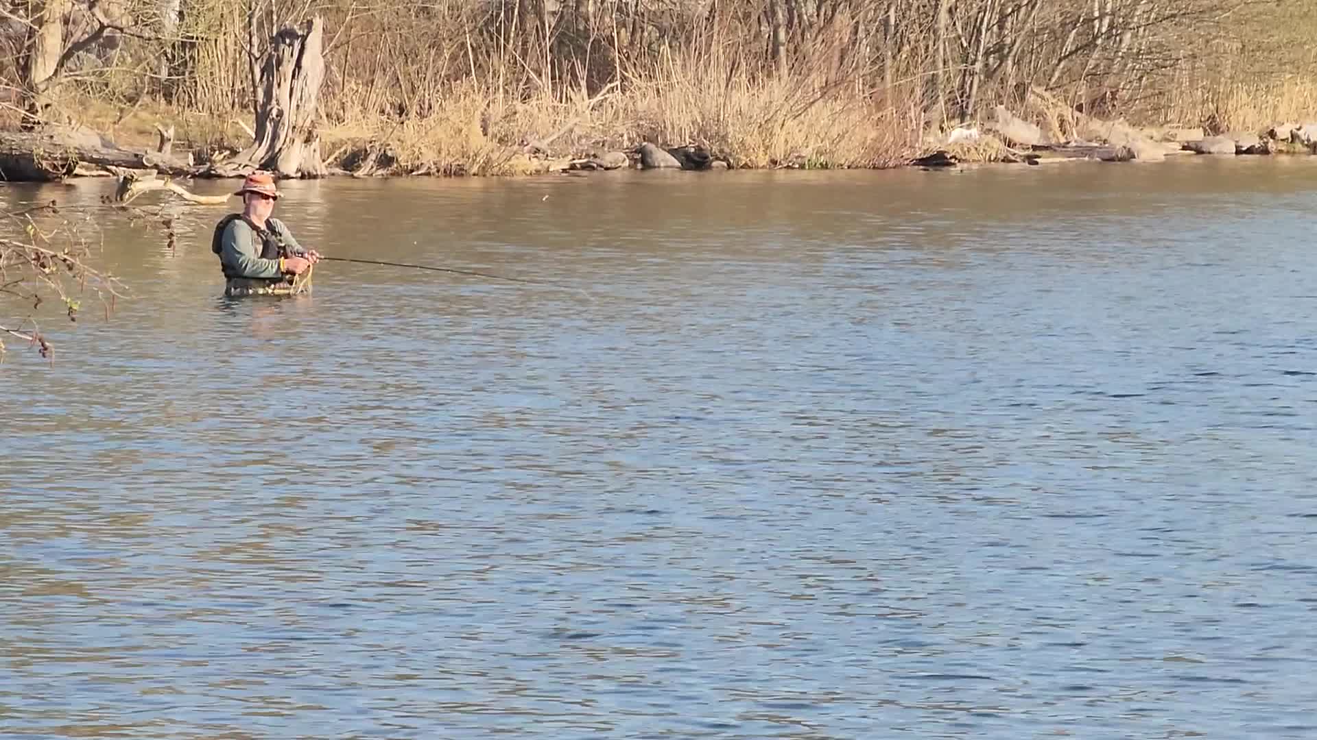 Daily life along Lake Wilcox