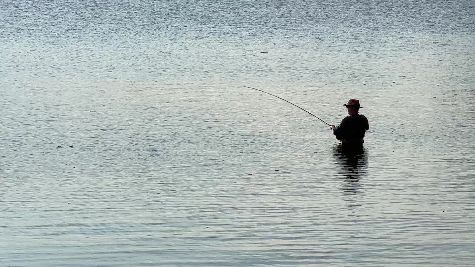 Daily life along Lake Wilcox