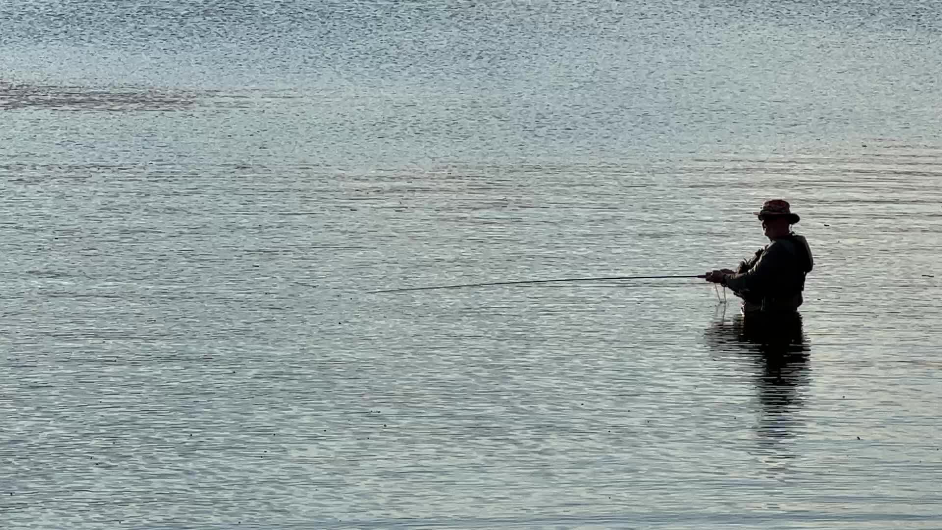 Daily life along Lake Wilcox