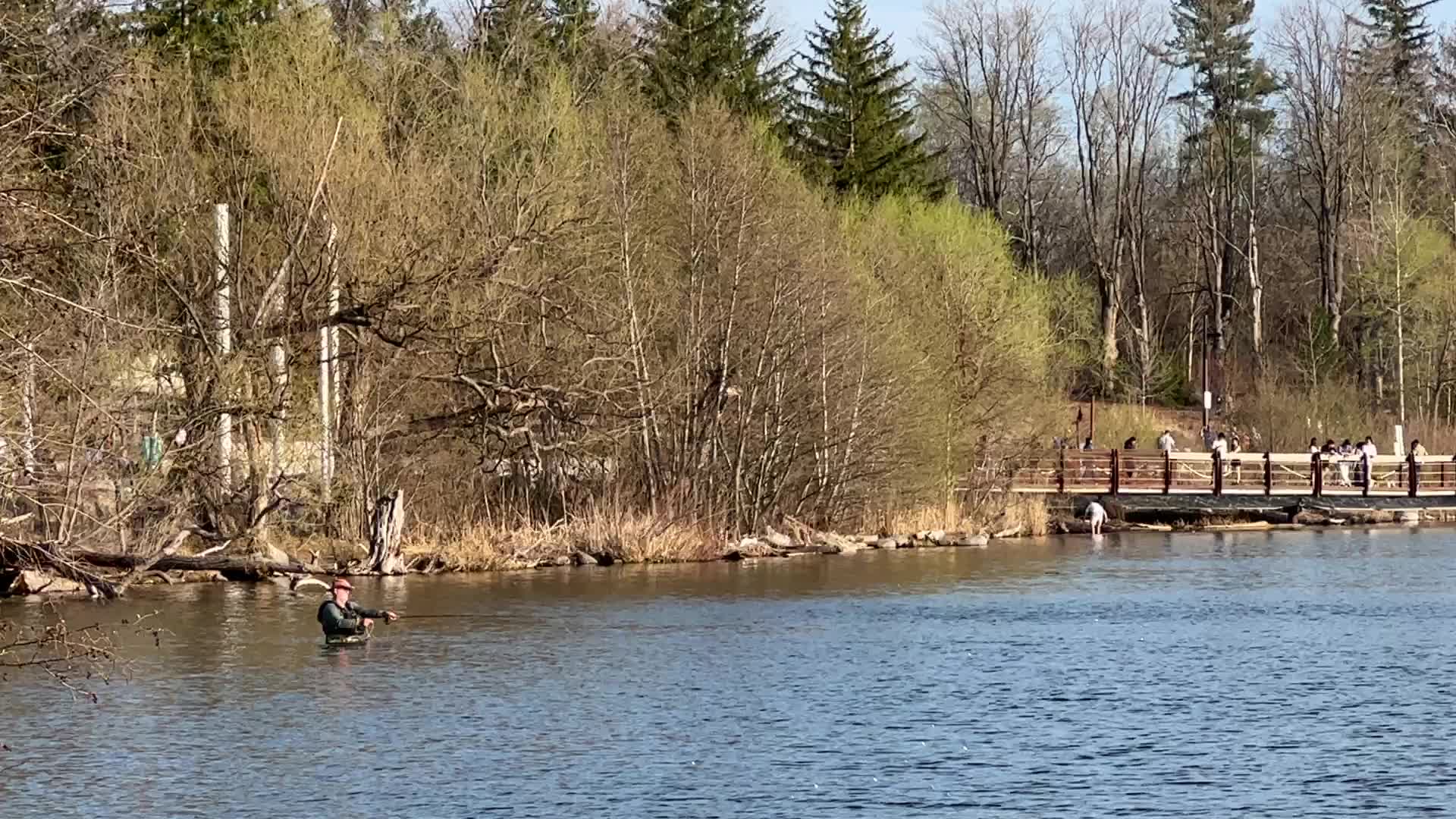 Daily life along Lake Wilcox