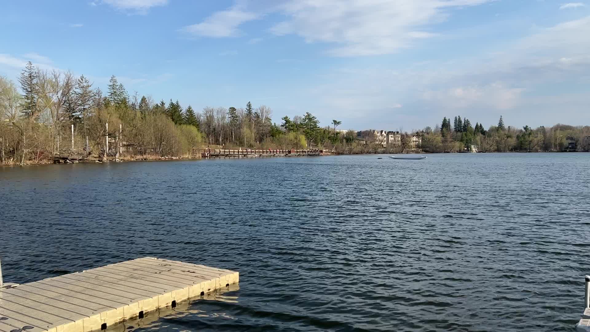 Daily life along Lake Wilcox