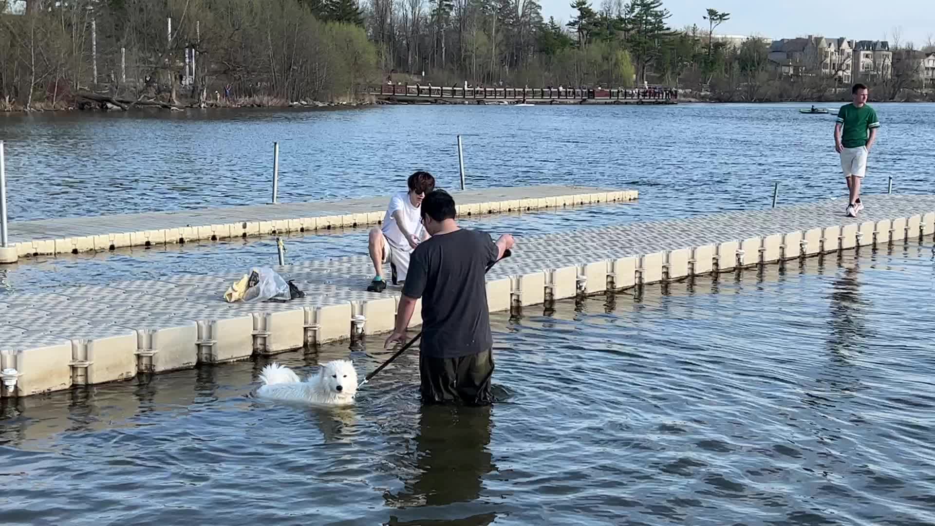 Daily life along Lake Wilcox