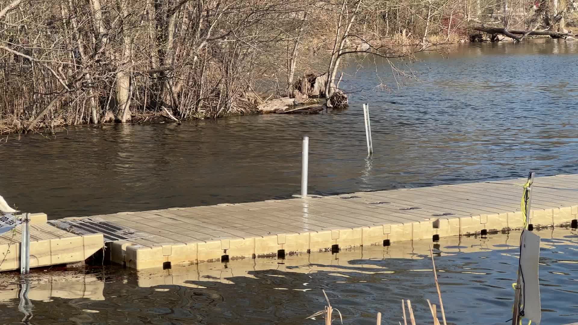 Daily life along Lake Wilcox