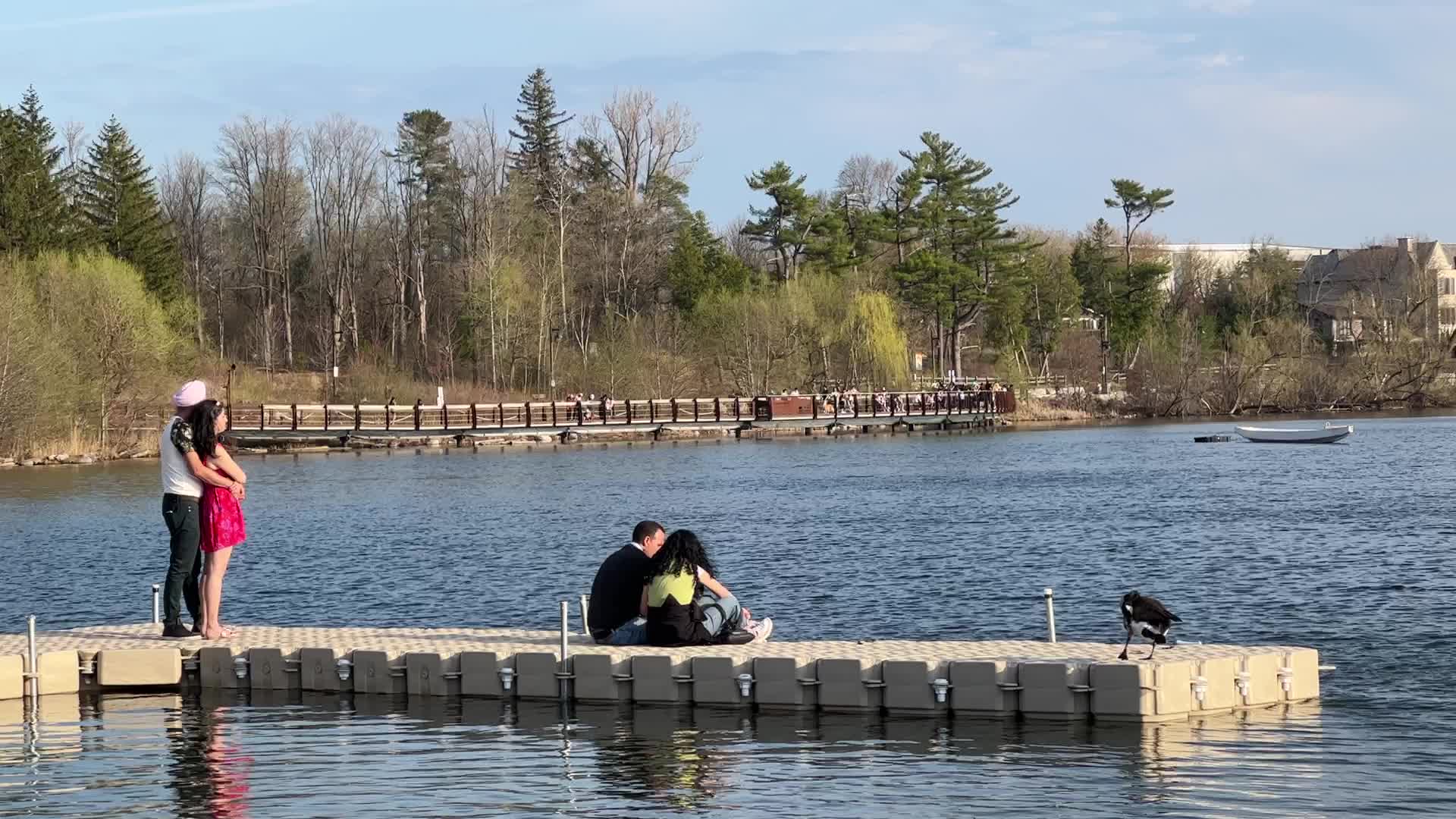 Daily life along Lake Wilcox