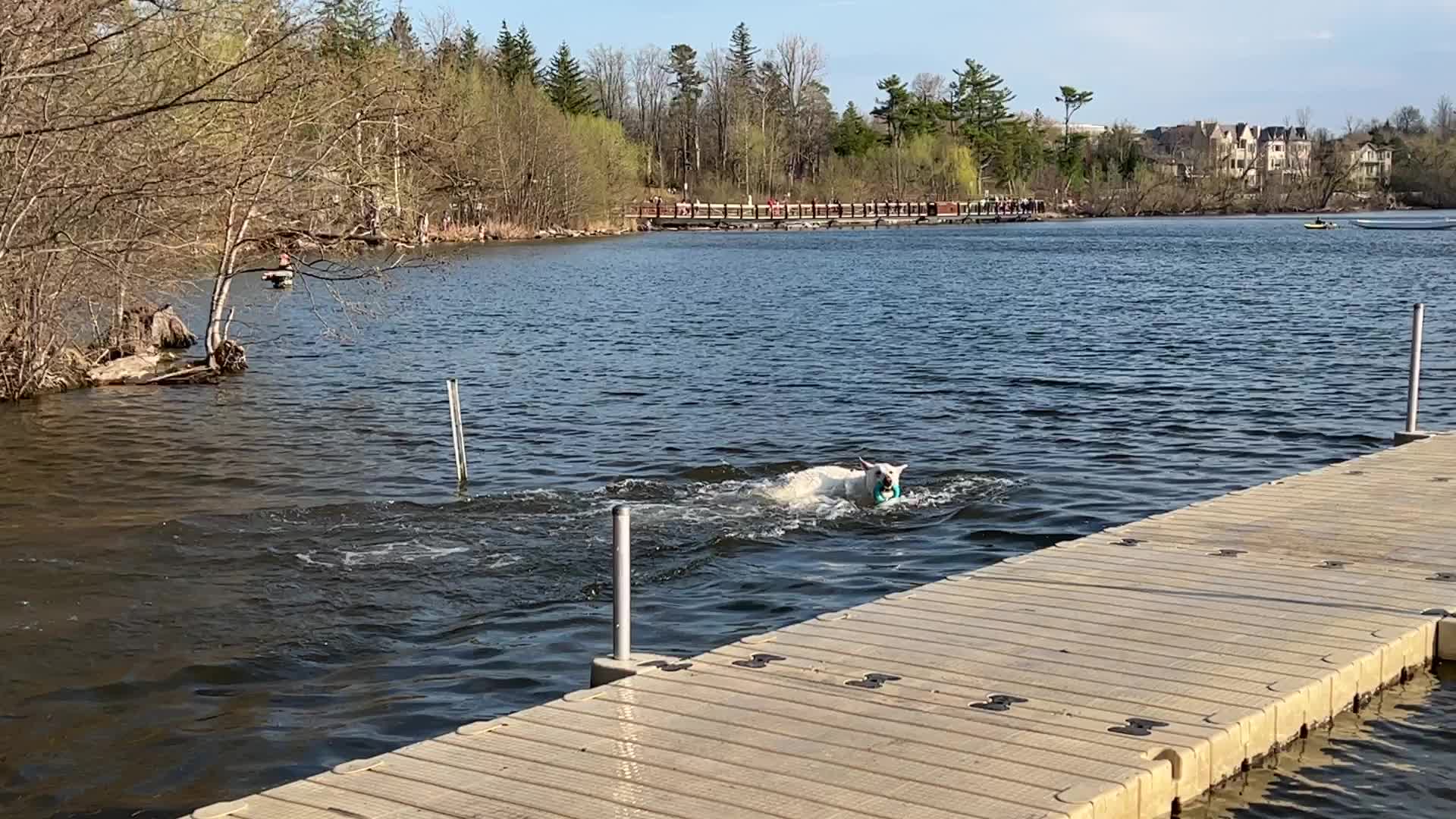 Daily life along Lake Wilcox