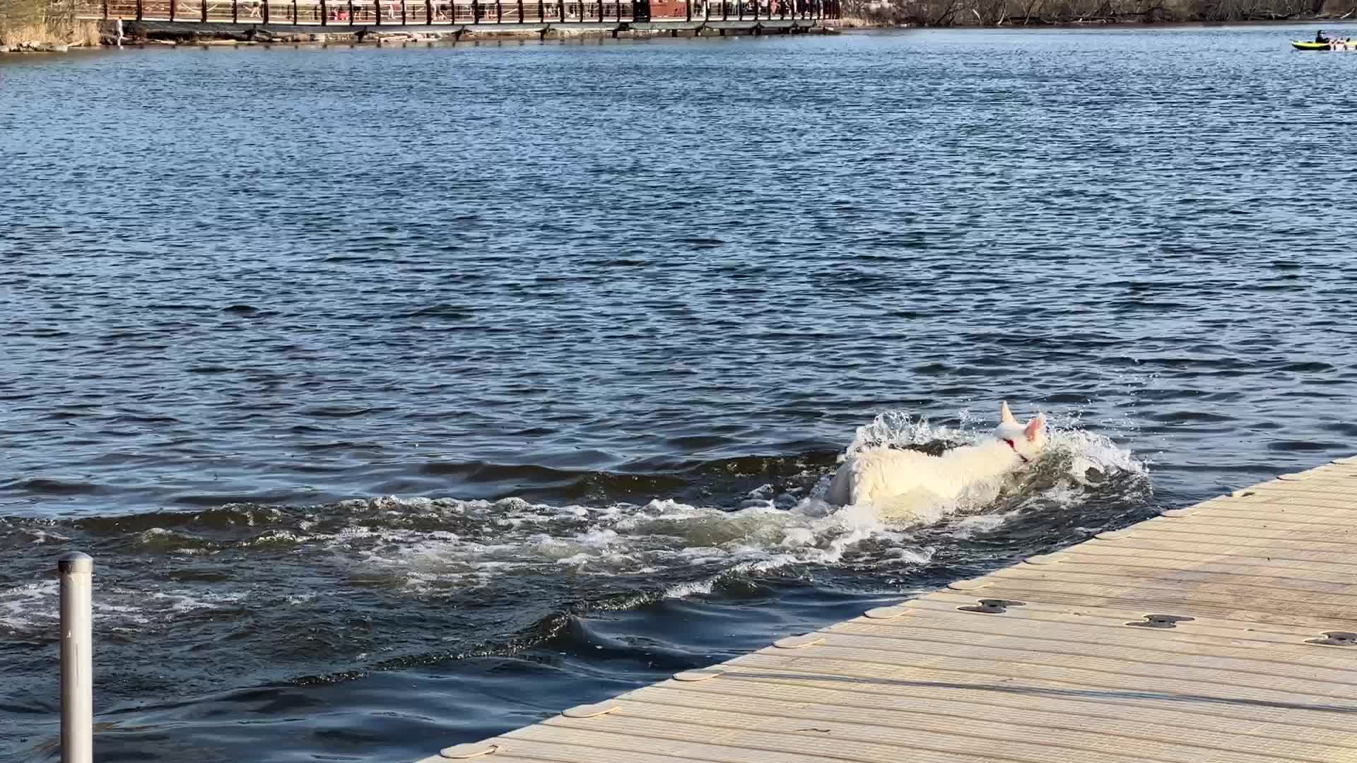 Daily life along Lake Wilcox