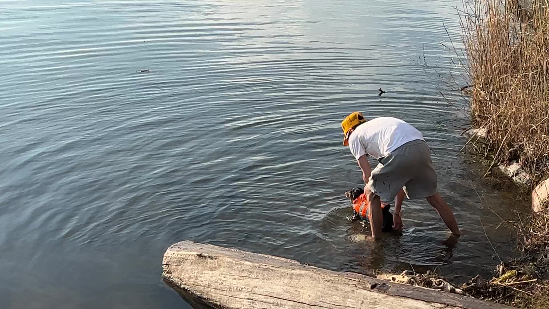 Daily life along Lake Wilcox
