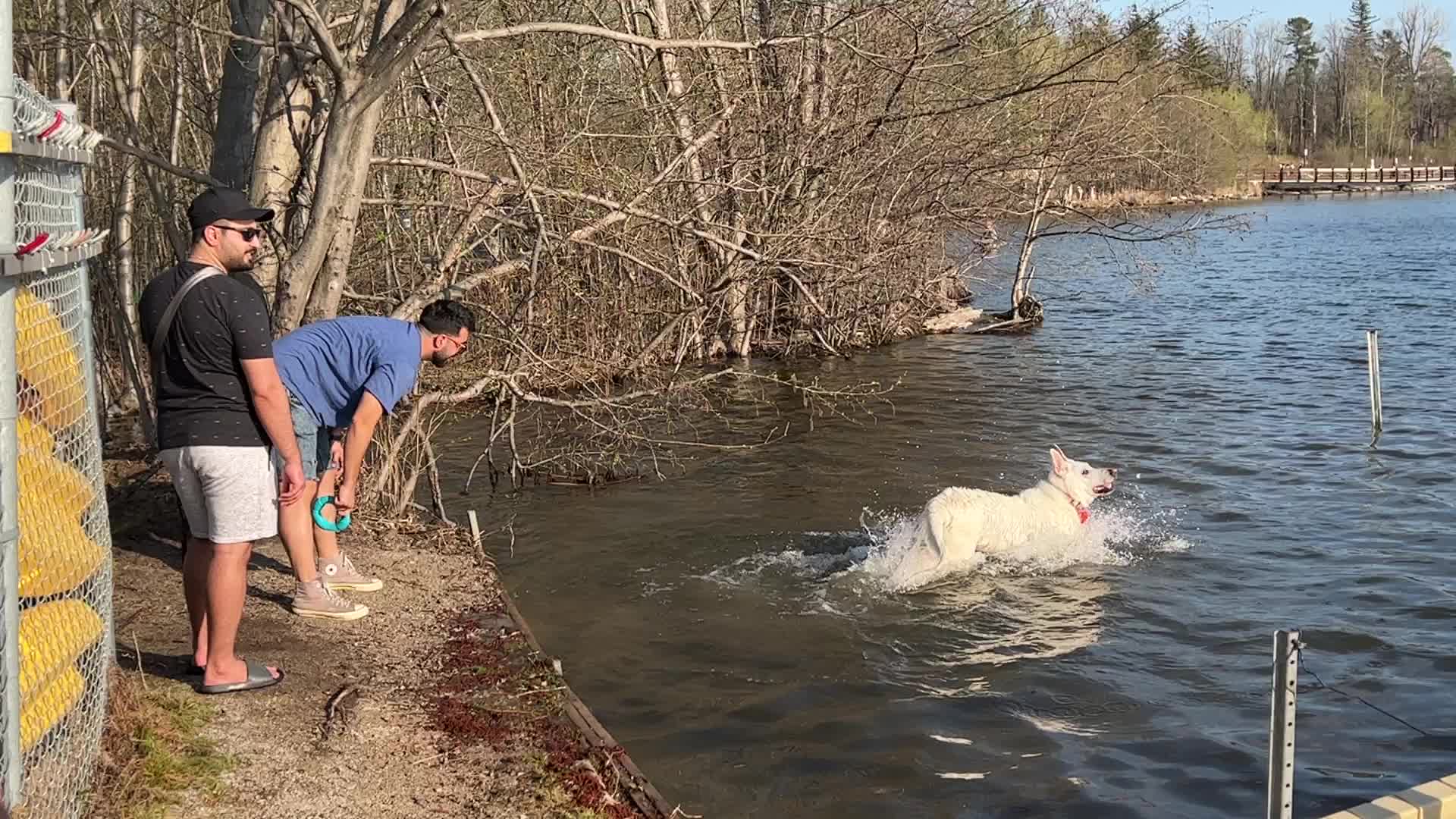Daily life along Lake Wilcox