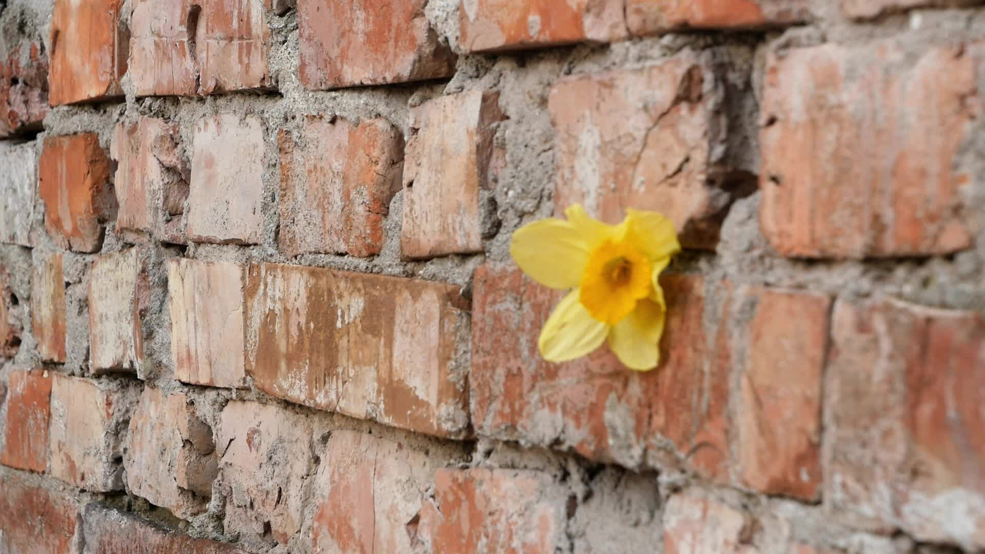 80th Anniversary Of The Outbreak Of The Warsaw Ghetto Uprising