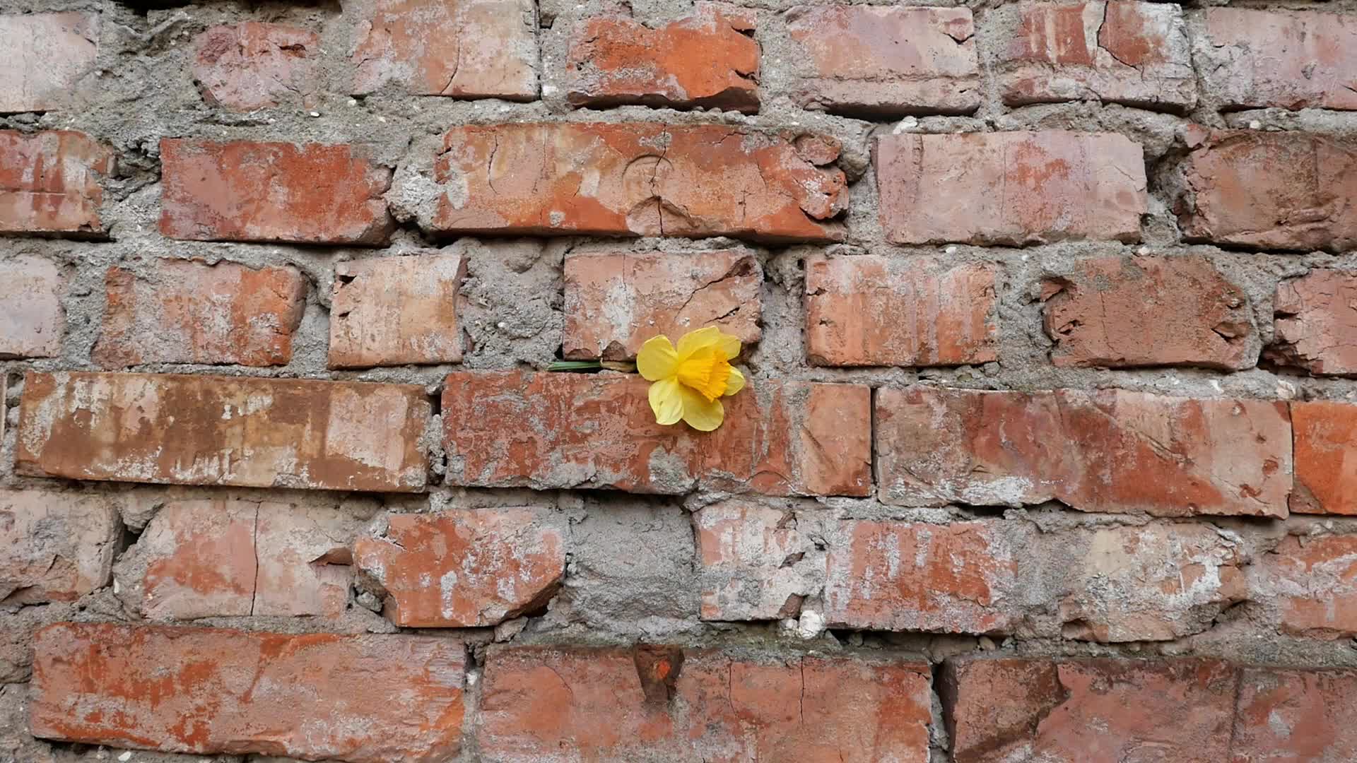 80th Anniversary Of The Outbreak Of The Warsaw Ghetto Uprising