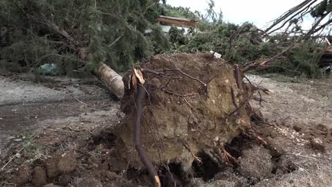 Aftermath of Storm In Halkidiki