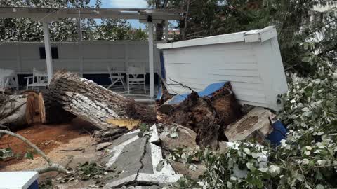 Aftermath of Storm In Halkidiki