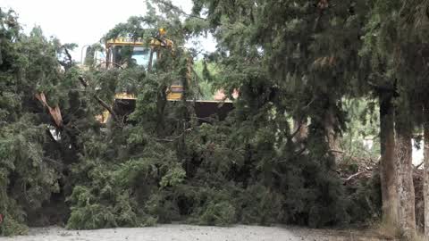 Aftermath of Storm In Halkidiki