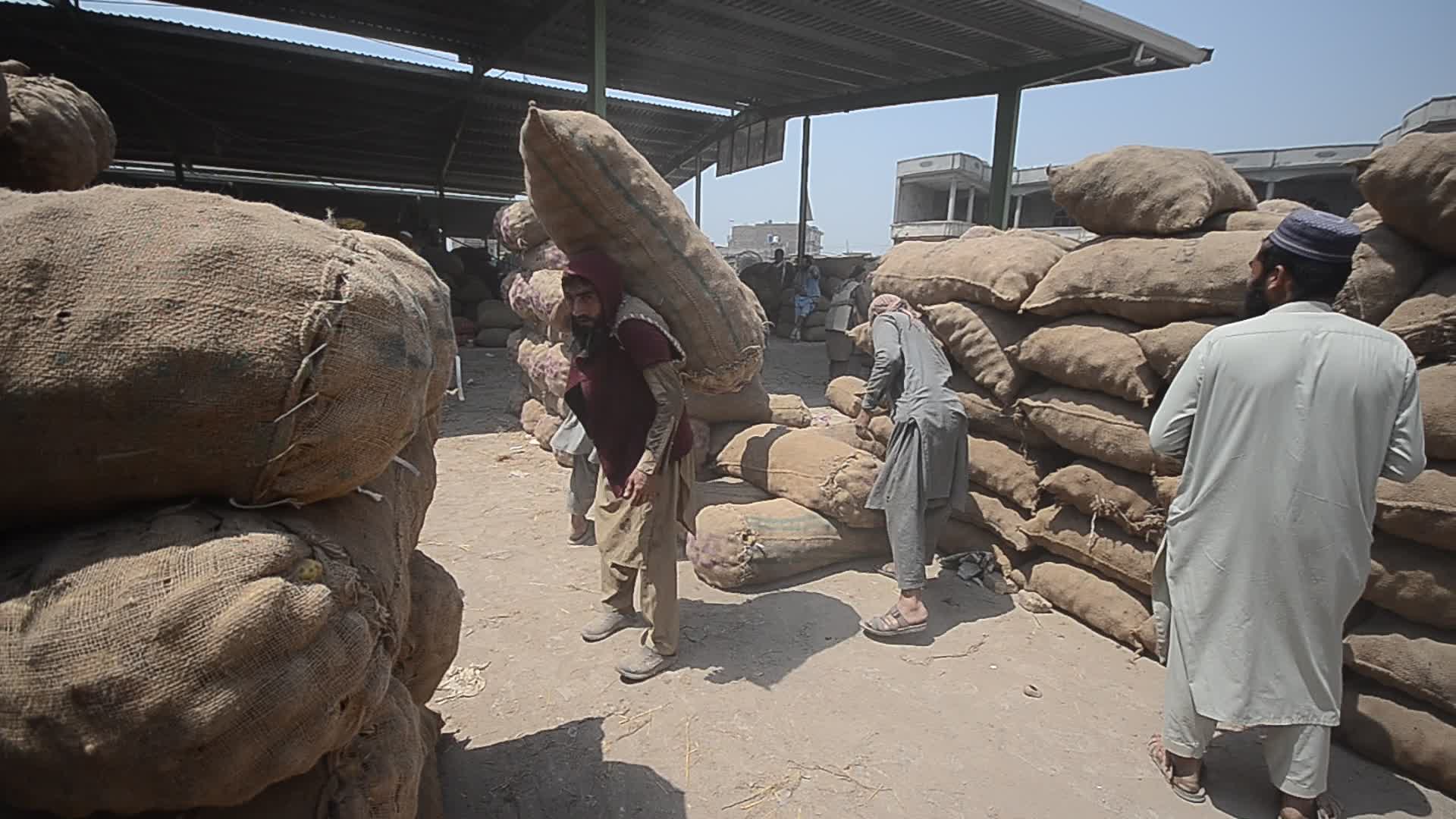 International Labour Day in Pakistan
