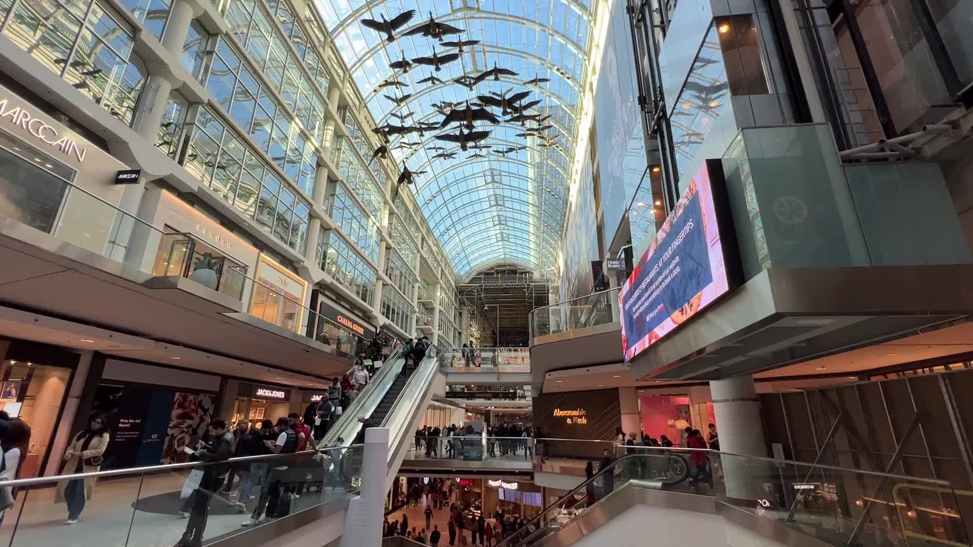 Daily life in Toronto