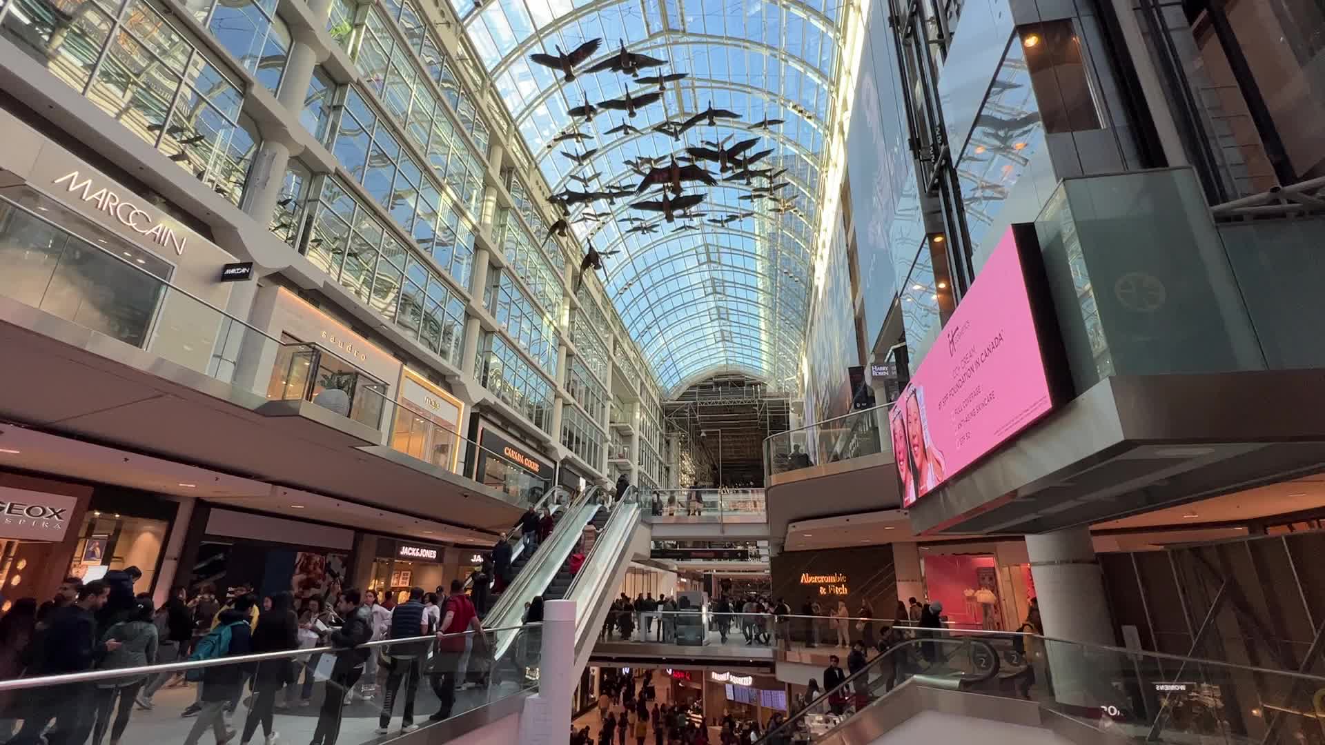 Daily life in Toronto