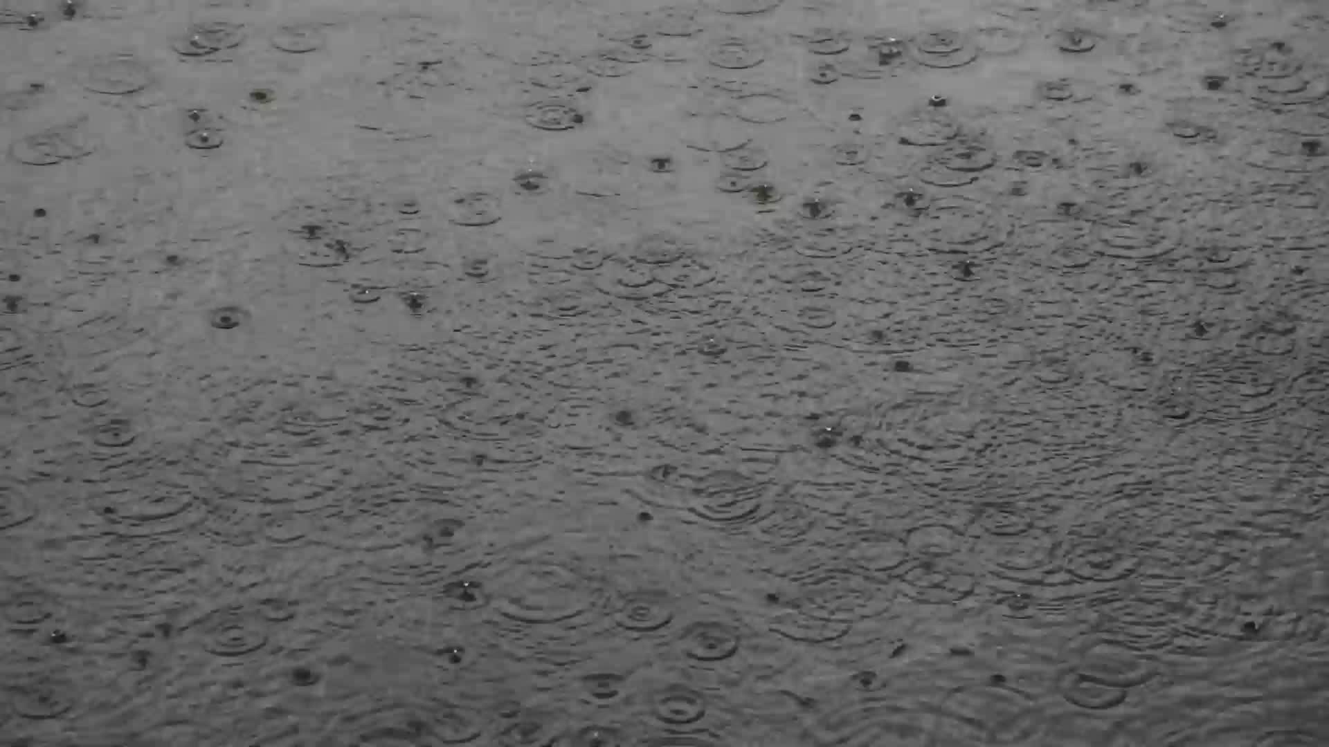 Rains in Srinagar, India