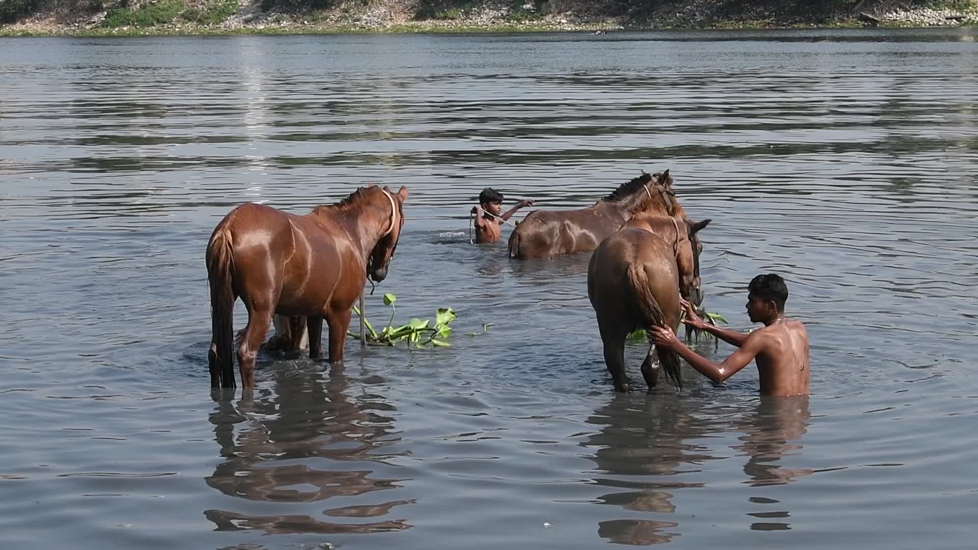 Daily Life in Dhaka 