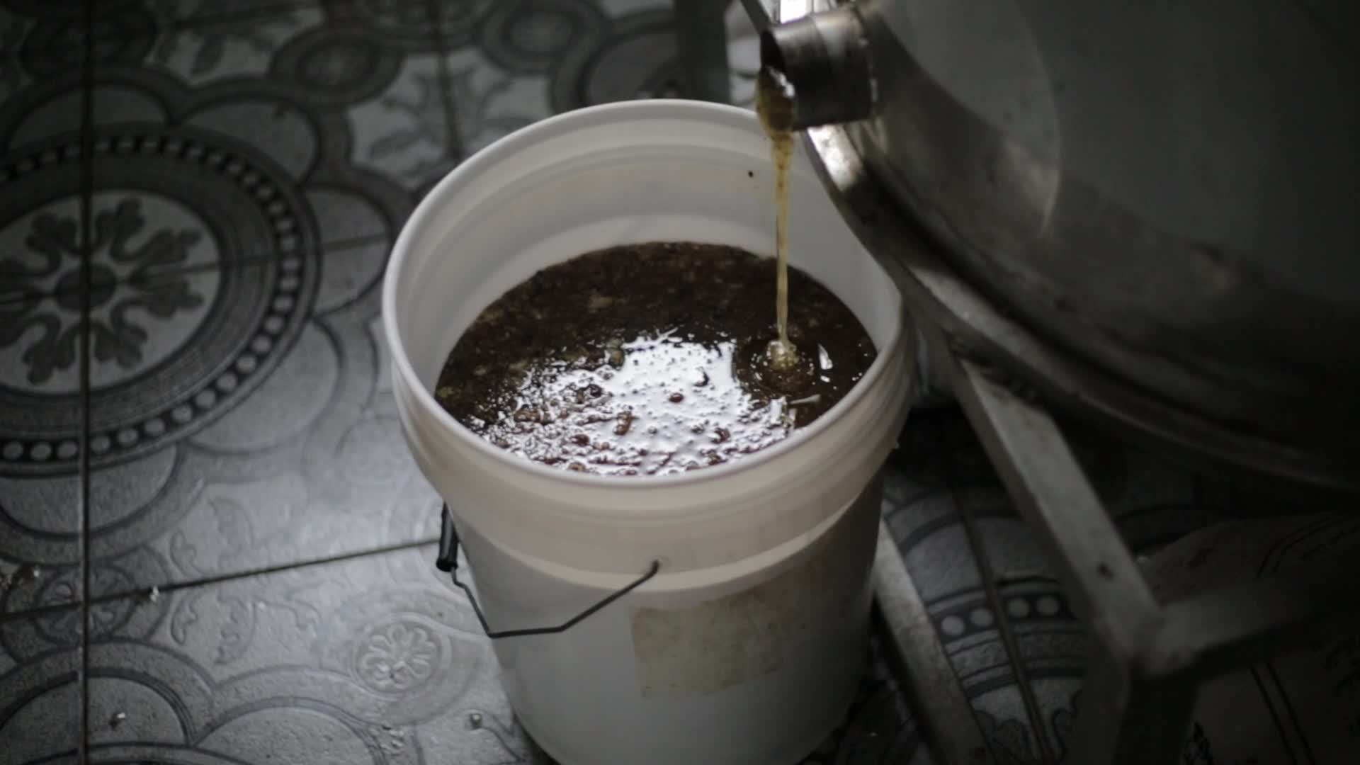 Honey harvest season in Gaza