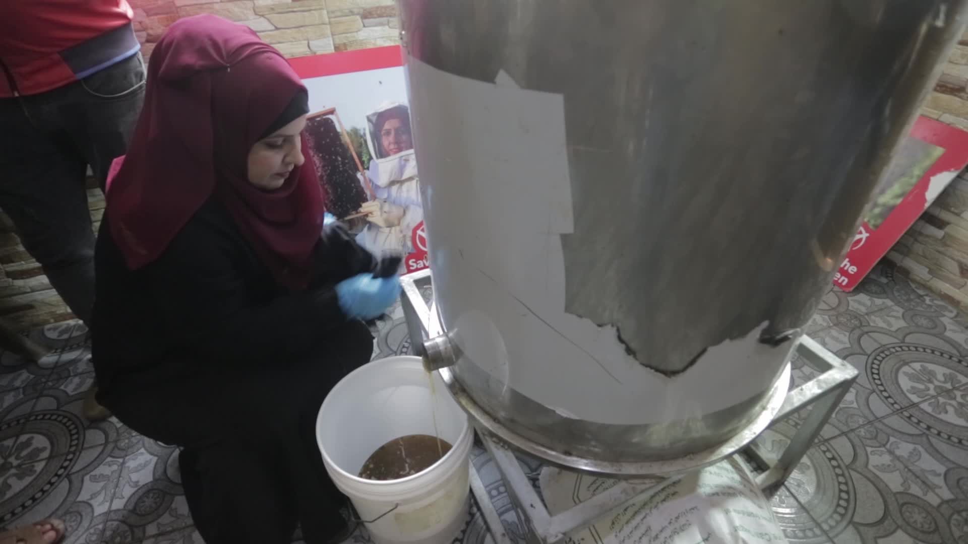 Honey harvest season in Gaza