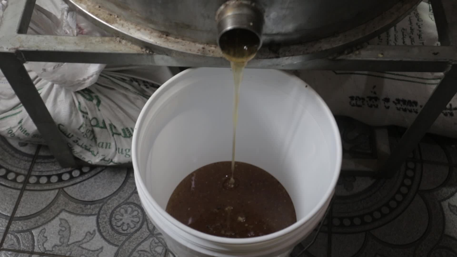 Honey harvest season in Gaza