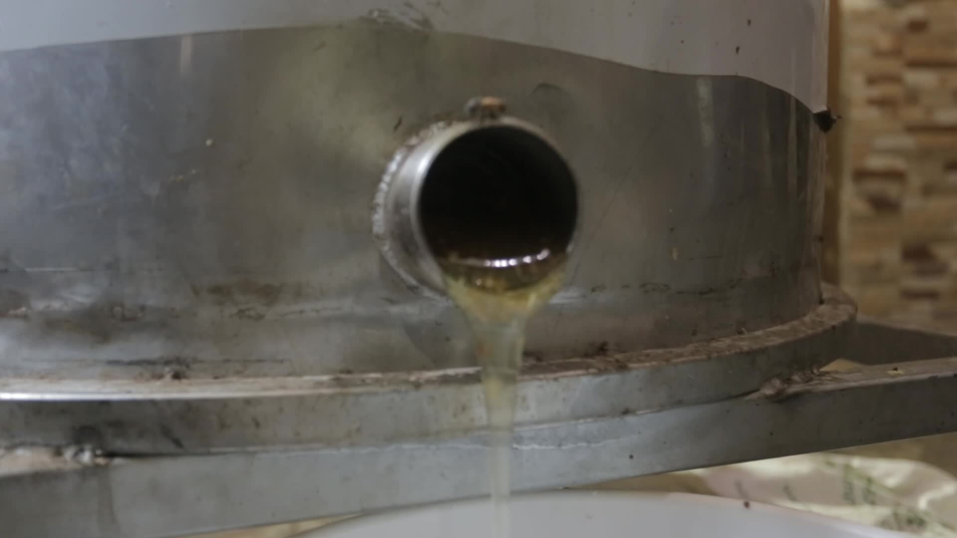 Honey harvest season in Gaza