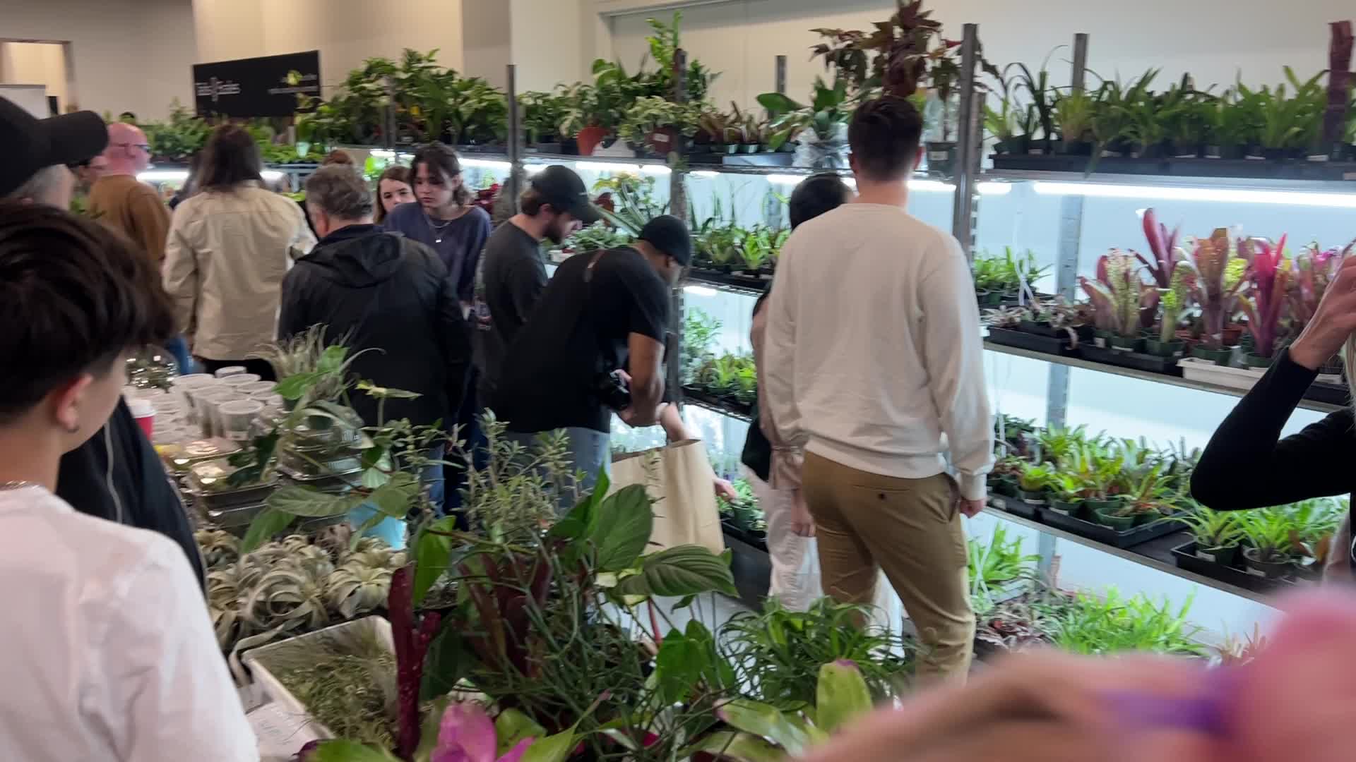 Plant Expo in Mississauga
