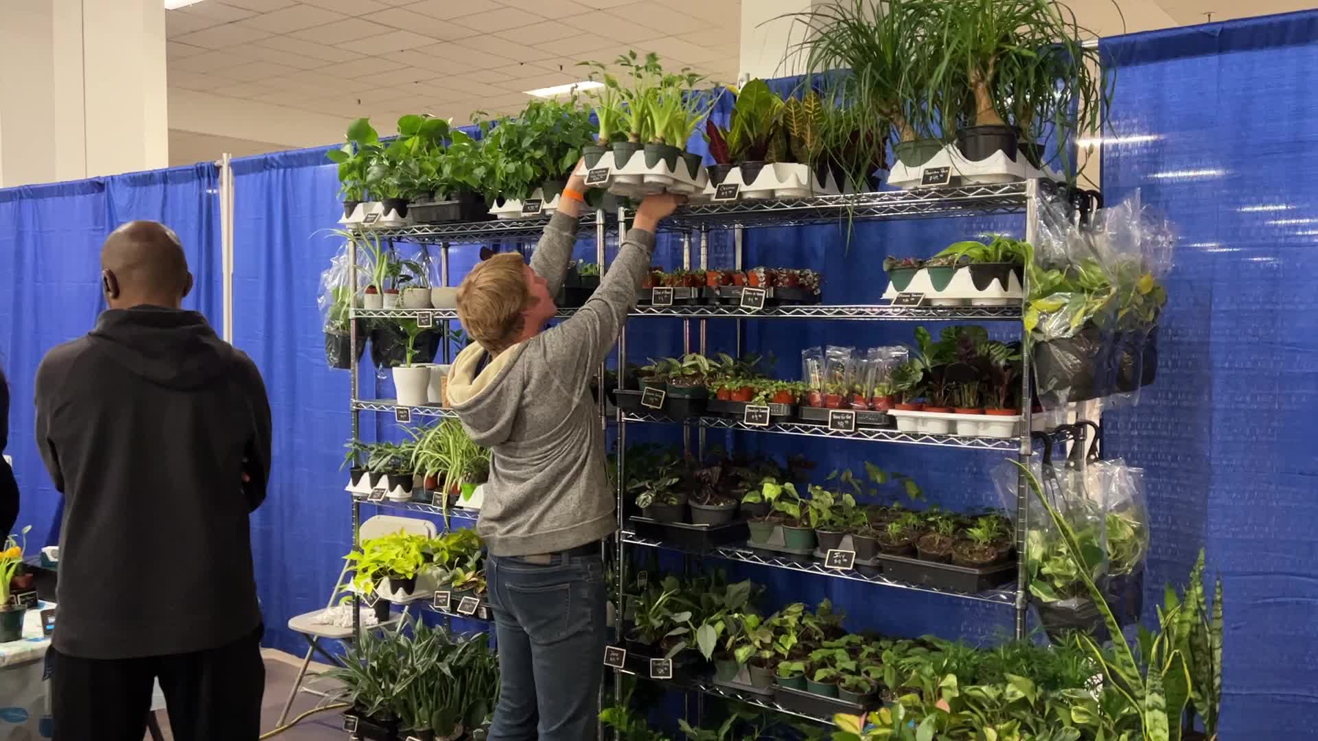 Plant Expo in Mississauga