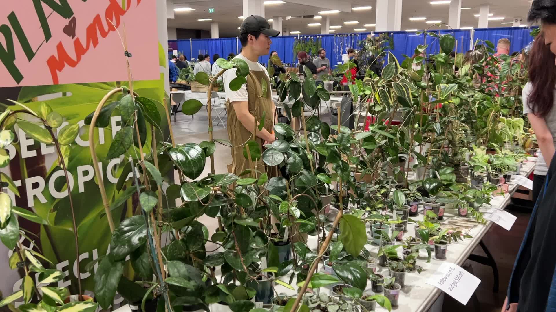 Plant Expo in Mississauga