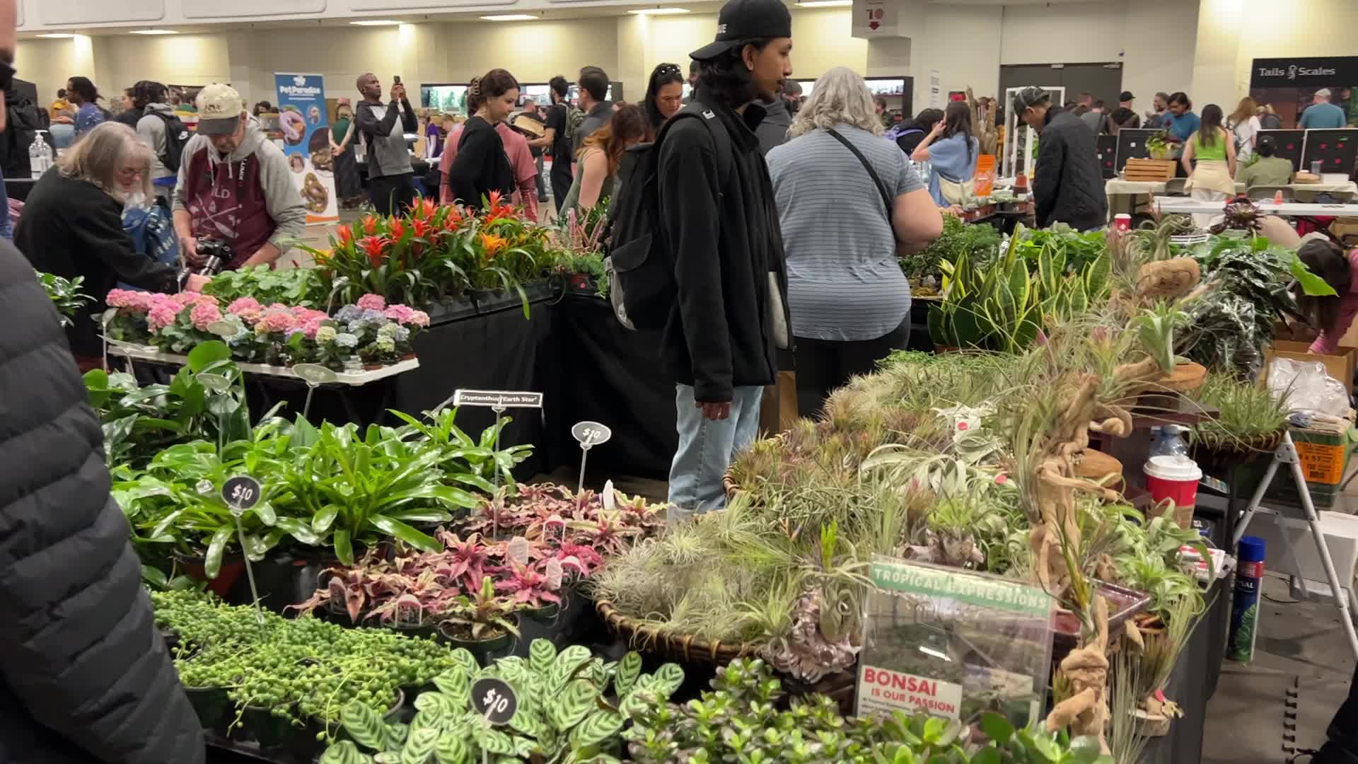 Plant Expo in Mississauga
