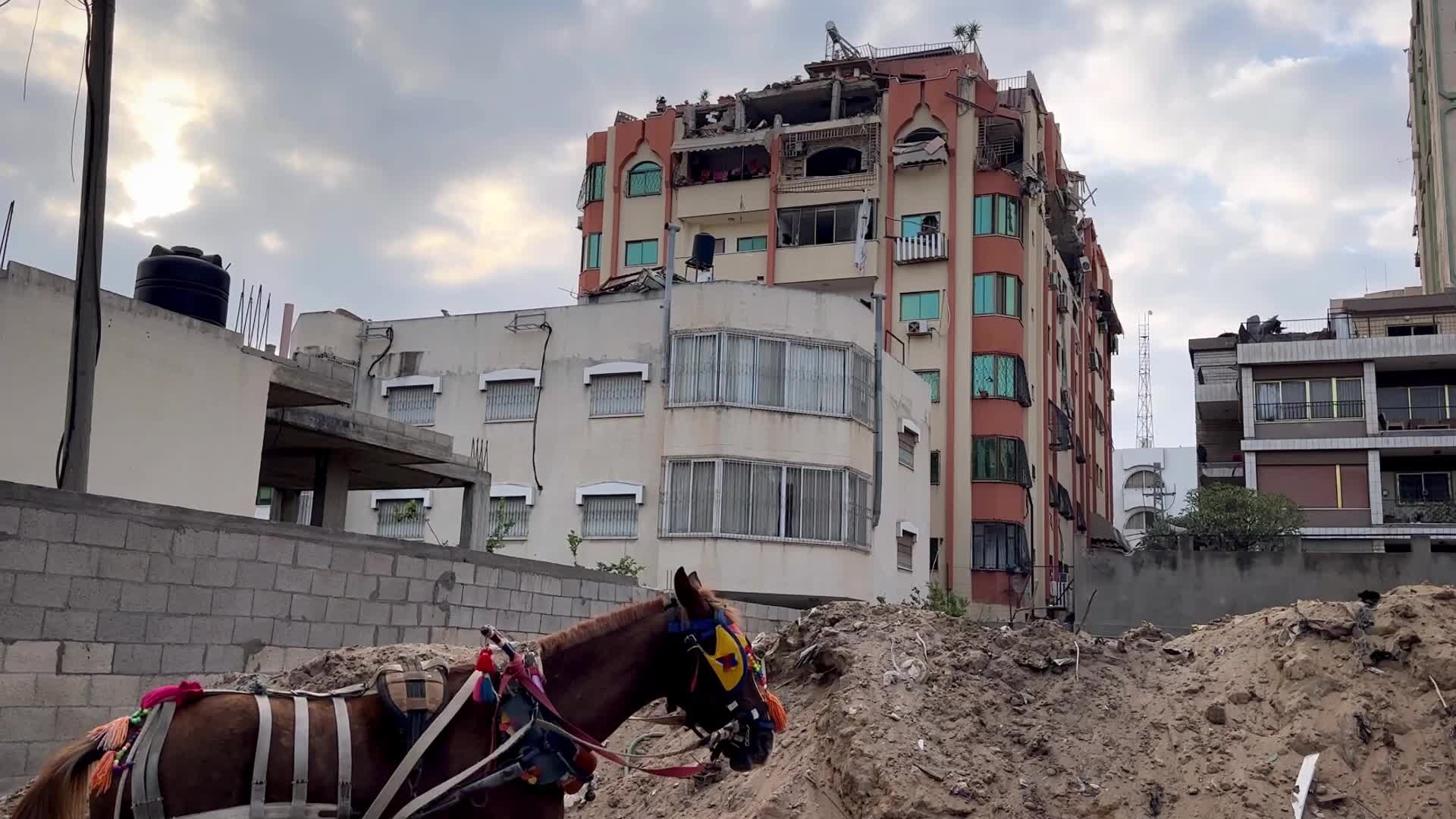 Israeli strikes in Gaza kill 12, including three leaders of armed group