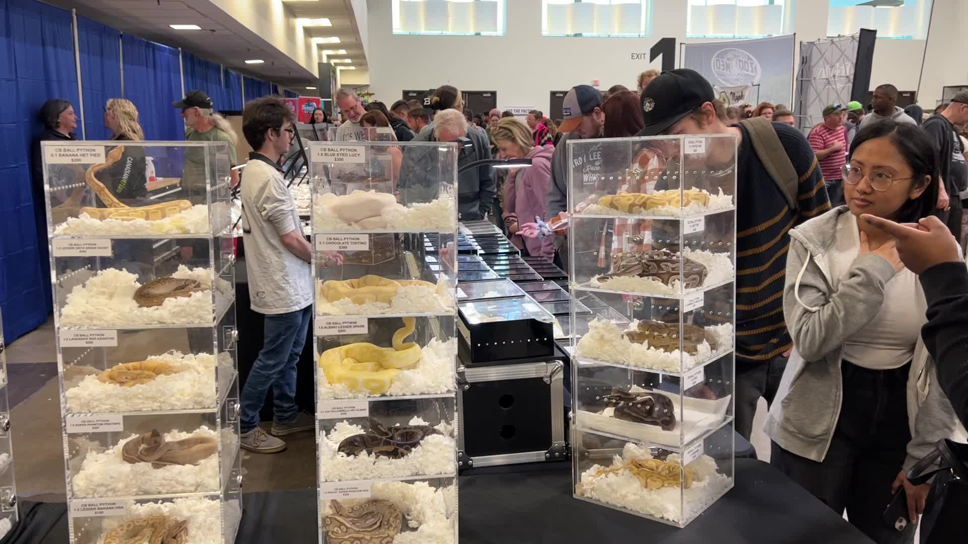 Exotic Reptile Breeders Expo in Canada