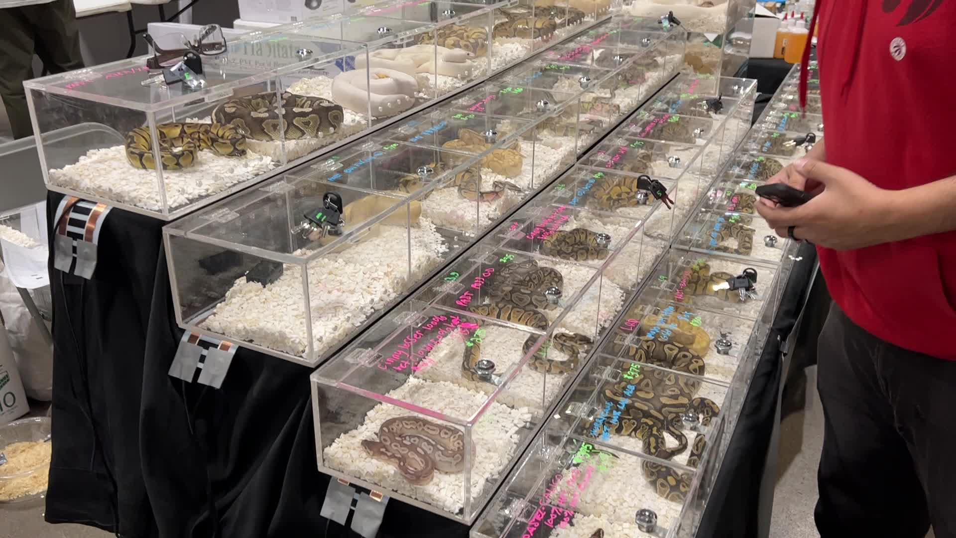 Exotic Reptile Breeders Expo in Canada