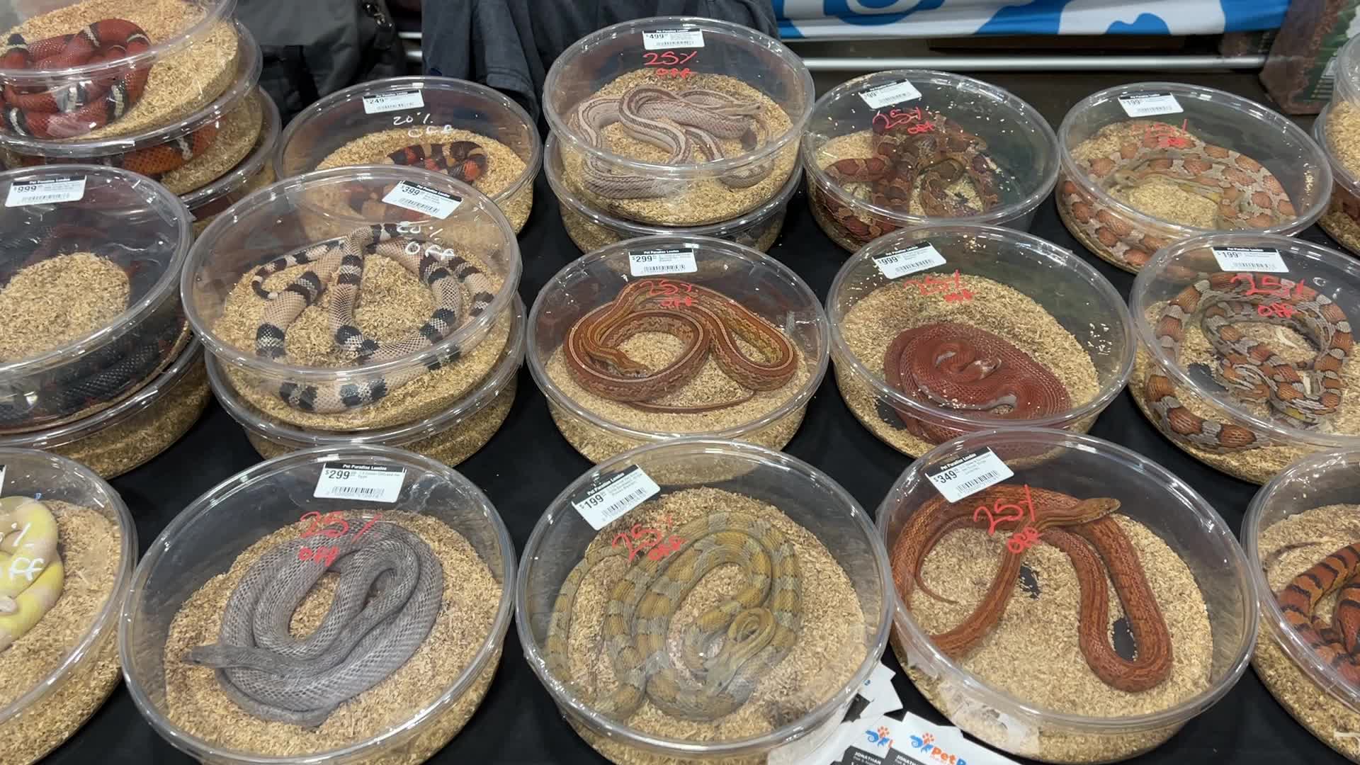 Exotic Reptile Breeders Expo in Canada