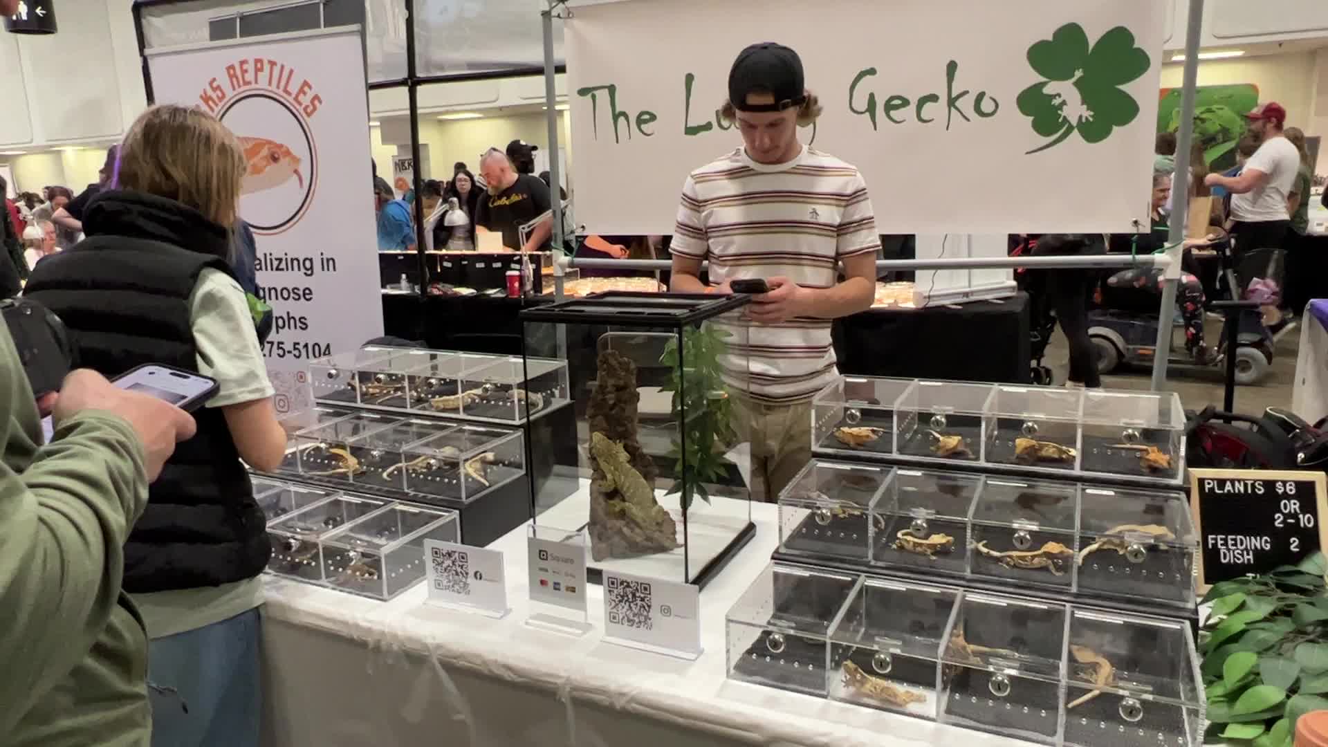 Exotic Reptile Breeders Expo in Canada