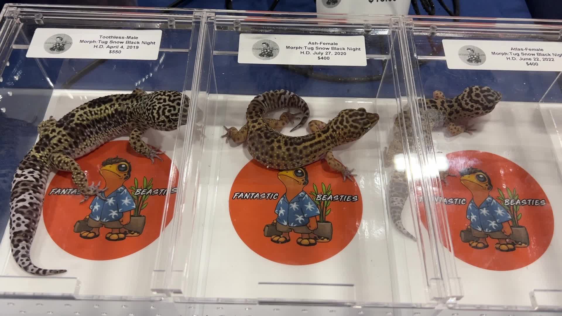 Exotic Reptile Breeders Expo in Canada