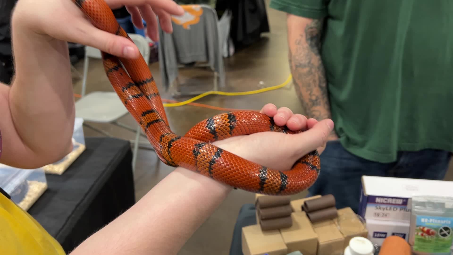 Exotic Reptile Breeders Expo in Canada